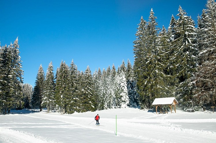 Piste verte de ski nordique - Simon Desthieux