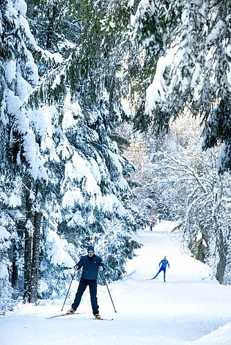 Piste verte de ski nordique - Simon Desthieux