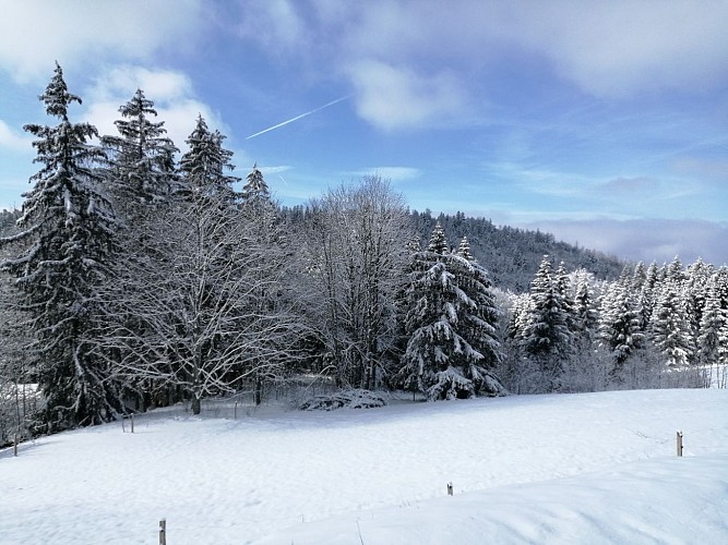 La ferme Guichard depuis La Praille - Piste bleue de ski nordique