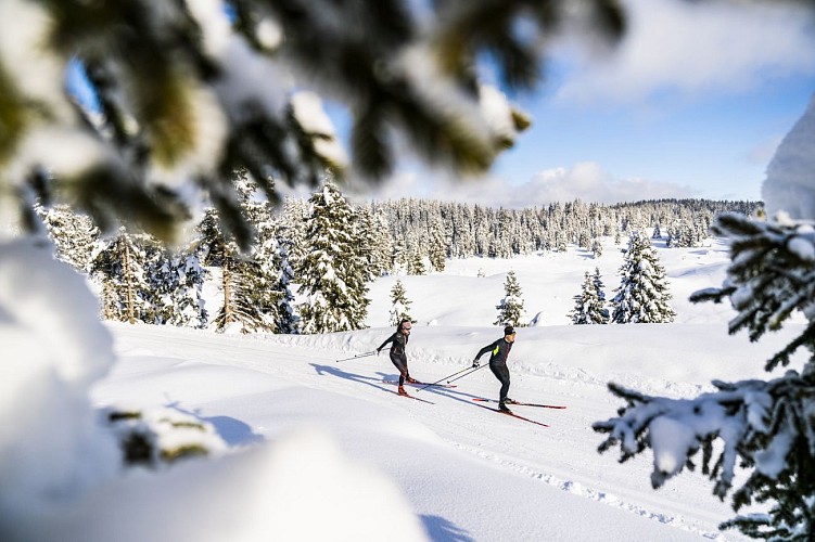 Le marais depuis La Praille - Piste verte de ski nordique