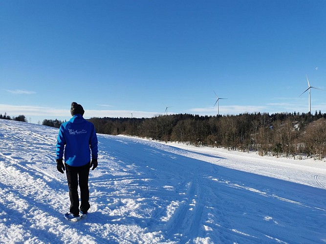 Piste Nordique Grip 'N' Click – Machine à Skier NordicTrack – NEUF