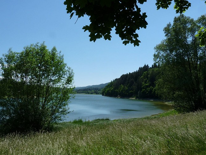 Circuit Jurassic Vélo Tours n°40 - Le tour de l'Oignin ou la rivière domptée