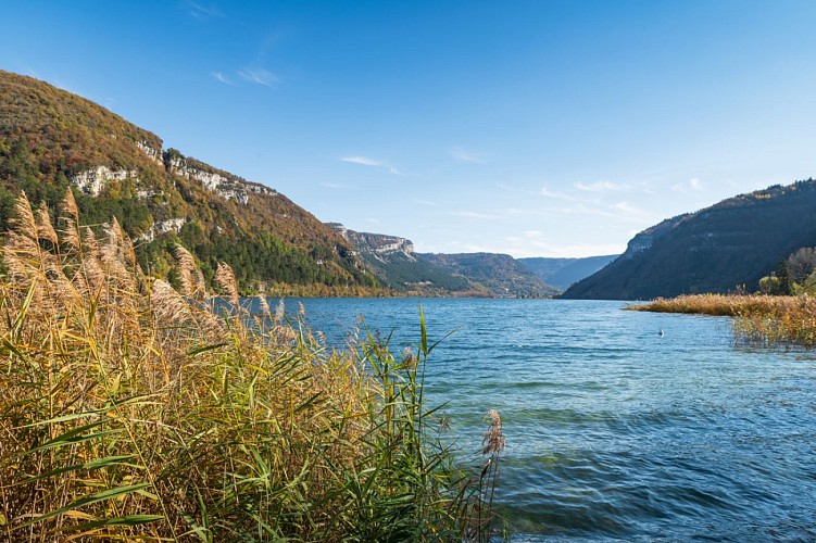 Lac de Nantua