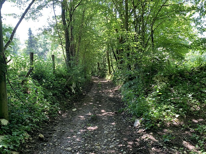 Randonnée - De Prémillieu à Armix