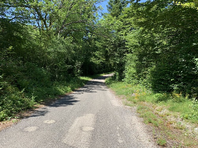 Randonnée - De Prémillieu à Armix