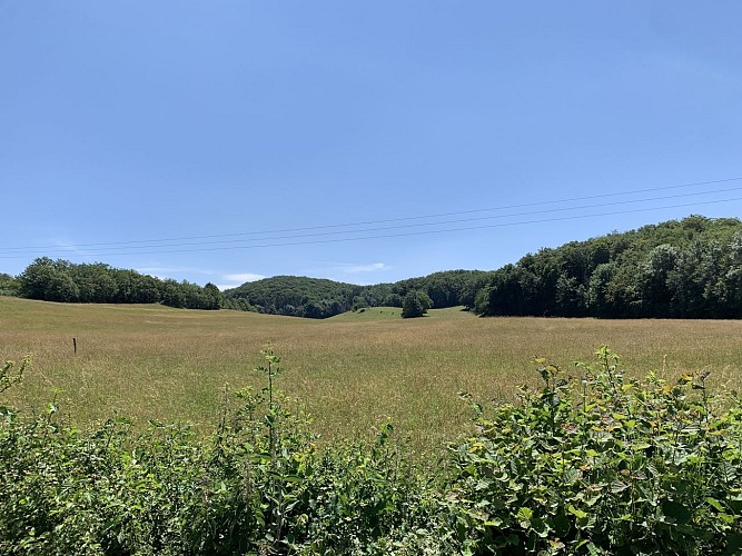 Randonnée - De Prémillieu à Armix