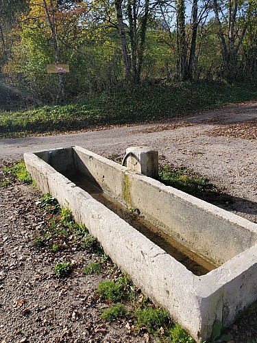 Abreuvoir a l'entré de la Bertinière