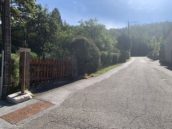 La Forêt de Niermes