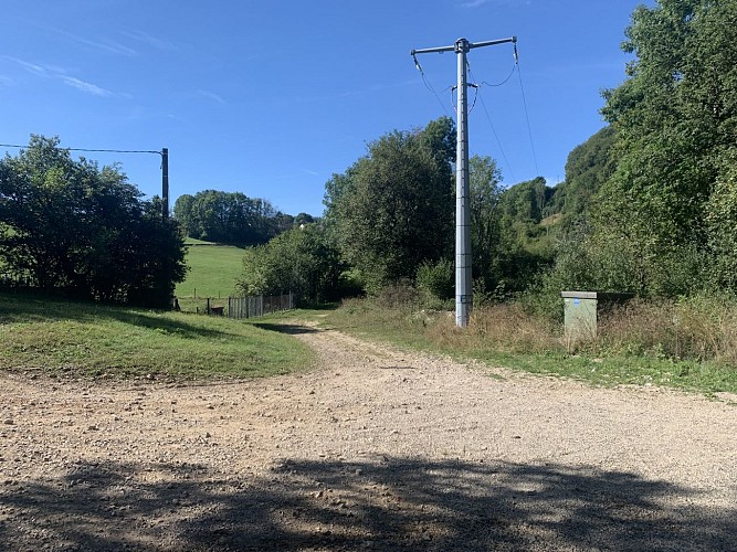 La Forêt de Niermes