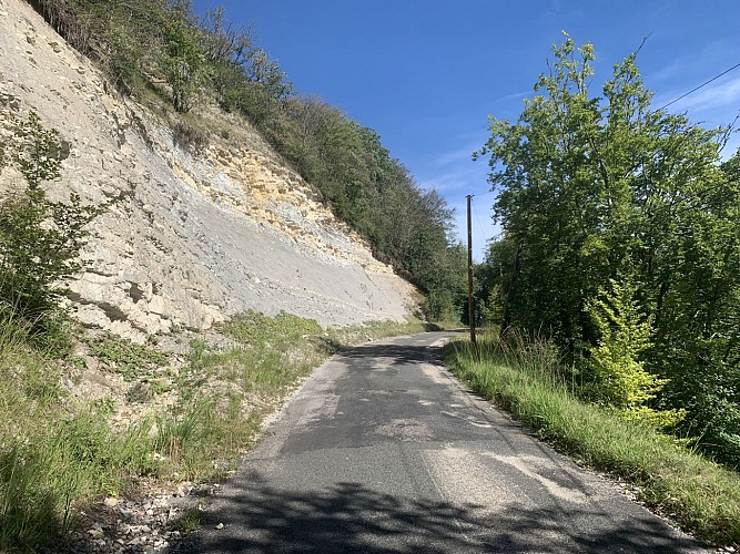 La Forêt de Niermes