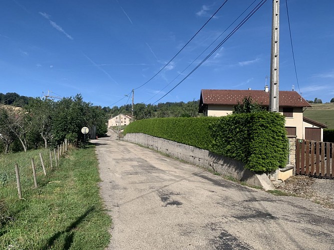 La Forêt de Niermes