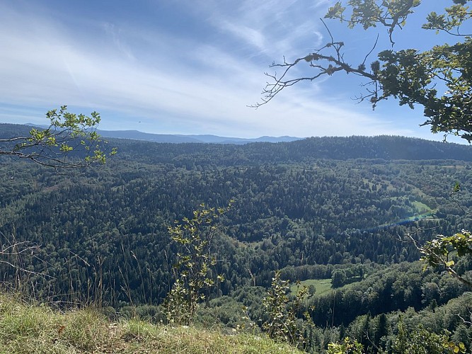 La Forêt de Niermes