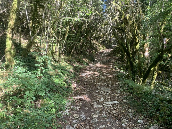Le tour de Côte Grobet-Catou