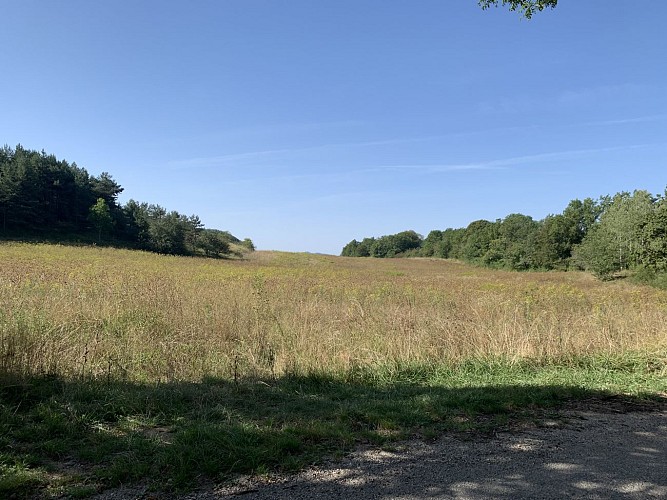 Le tour de Côte Grobet-Catou