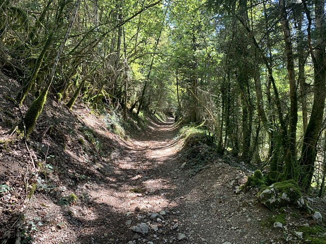 La vallée du Landeyron