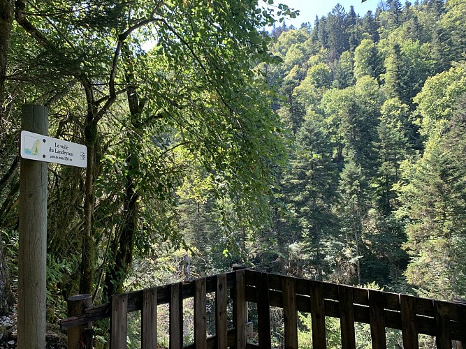 La vallée du Landeyron