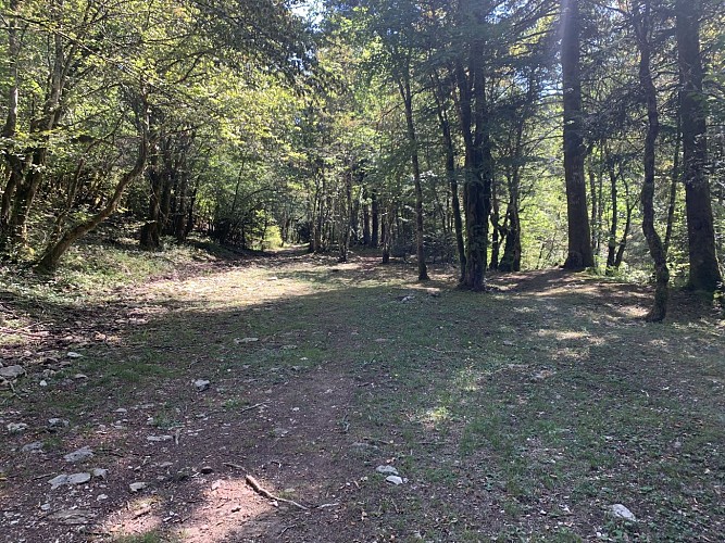 La vallée du Landeyron