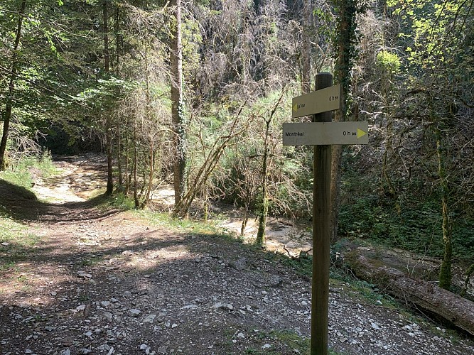 La vallée du Landeyron