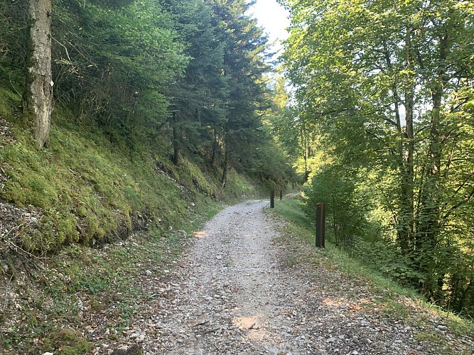 La vallée du Landeyron