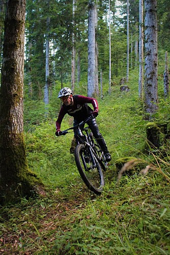 Bike Park de Cormaranche