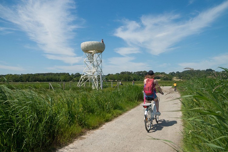 Le Nid-Observatoire du Marais du Fresnier, Lavau-sur-Loire