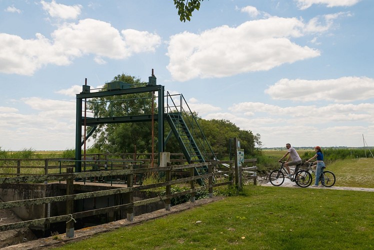 Le port de Lavau-sur-Loire