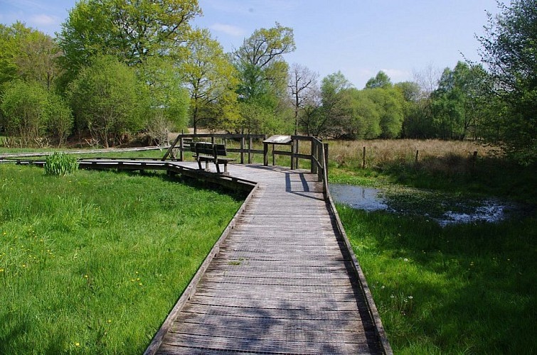 La Tourbière de la Lande Mouton