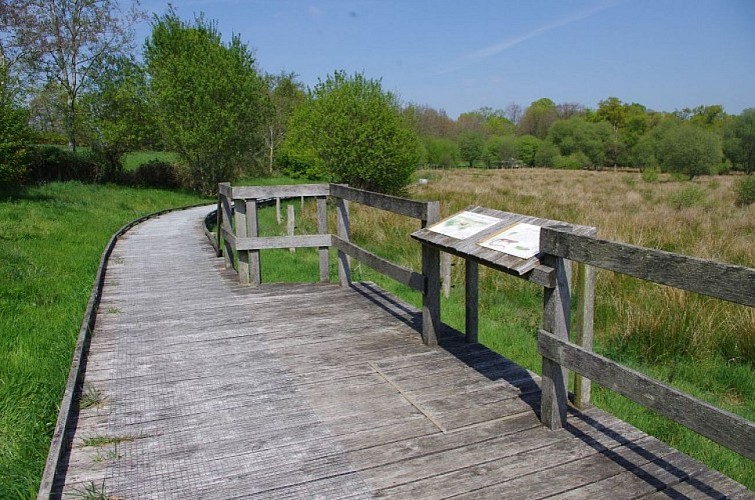 La Tourbière de la Lande Mouton