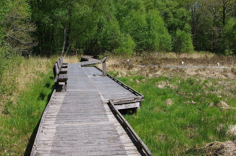 La Tourbière de la Lande Mouton