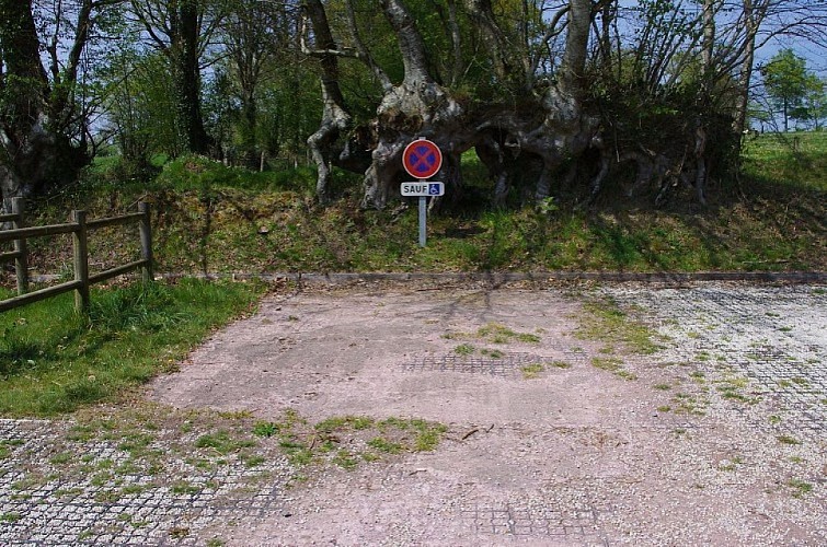 La Tourbière de la Lande Mouton