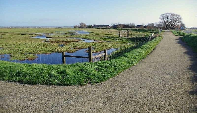 En bord de grèves