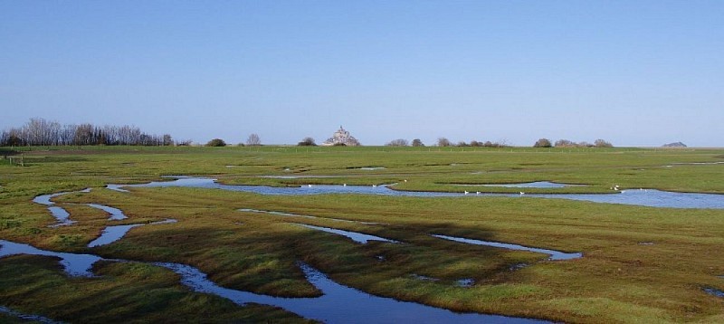 En bord de grèves