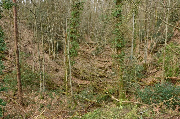 Circuit pédestre N°58 : "L'Or des Gaulois"