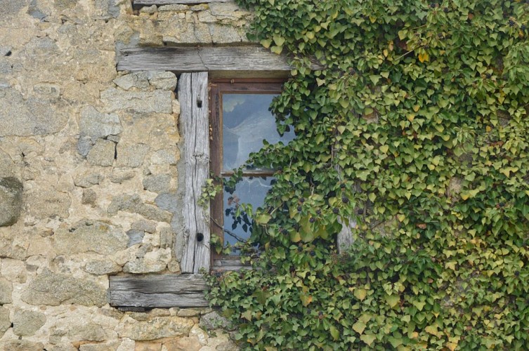 DSC_0588 (Large).JPG_4