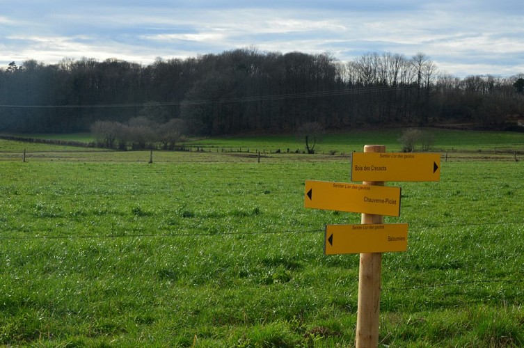 Circuit pédestre N°58 : "L'Or des Gaulois"