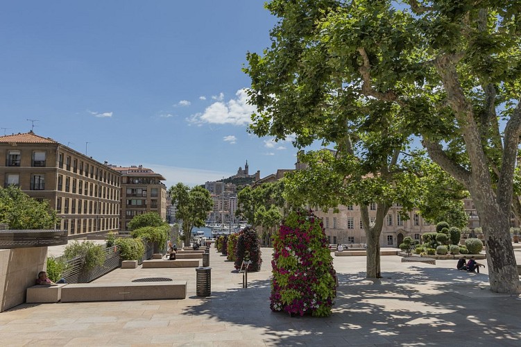 Ruta del frescor "Cool Noons": por el centro histórico de la ciudad