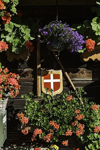VTT Cross country - La Bichounette