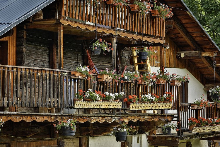 VTT Cross country - La Bichounette