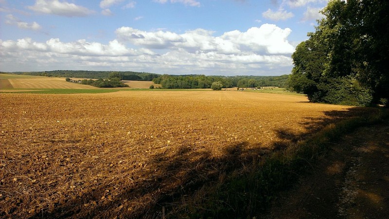Balagny