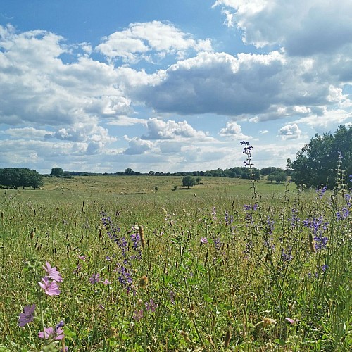 Circuit Les Mas du Causse