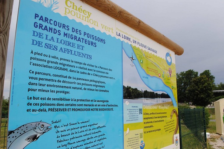 Parcours des poissons grands migrateurs de la Loire et ses affluents