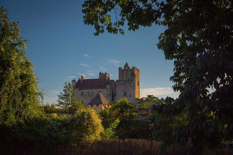 Patrimoine Beynac Dan Courtice (78)