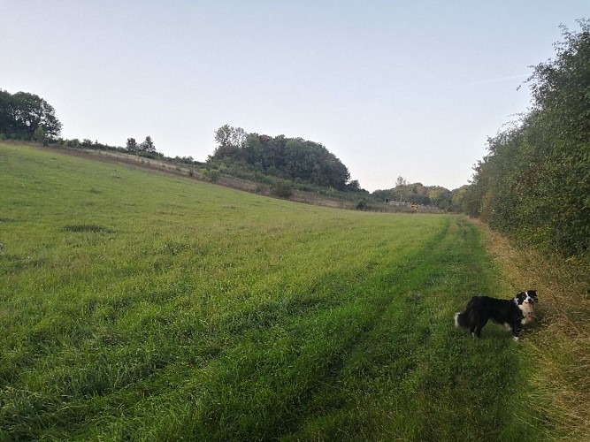 Le fond de Moulincourt