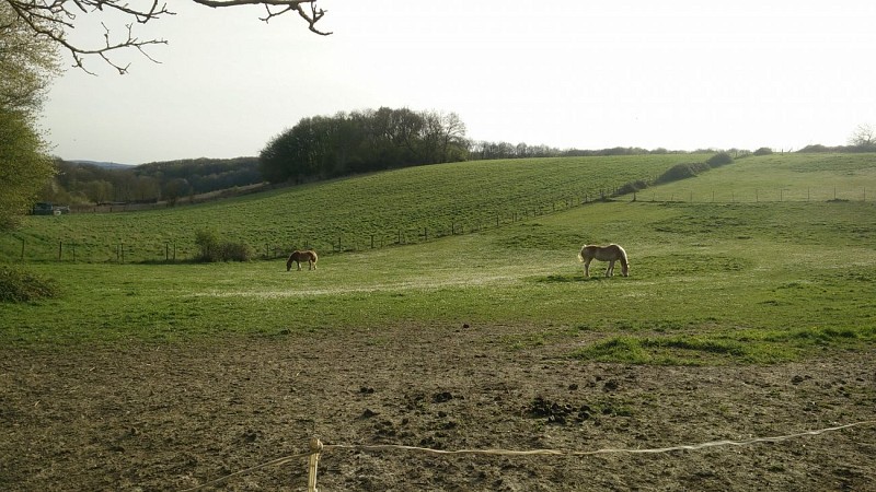 Le fond de Moulincourt