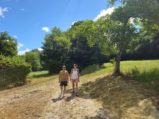 Tire-Gerbe forest - at Bonnard_Rochetoirin