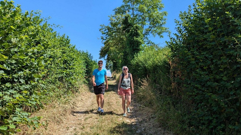 Châteaux et lac Saint Félix