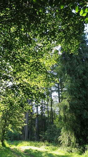 Au fil de la Dejoune - 20 km