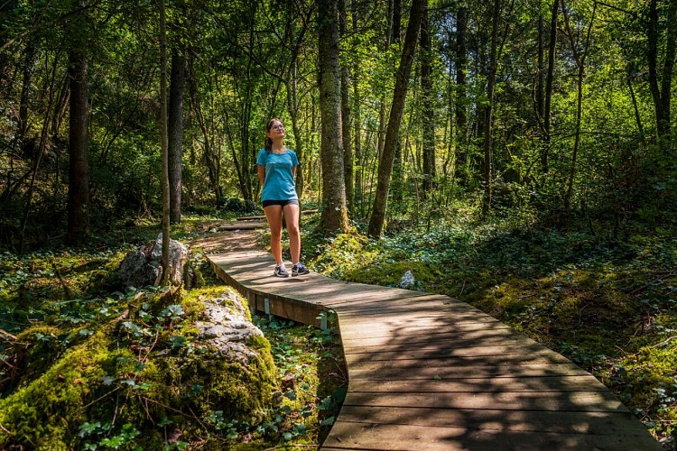 Forest Sport Nature & Health trail