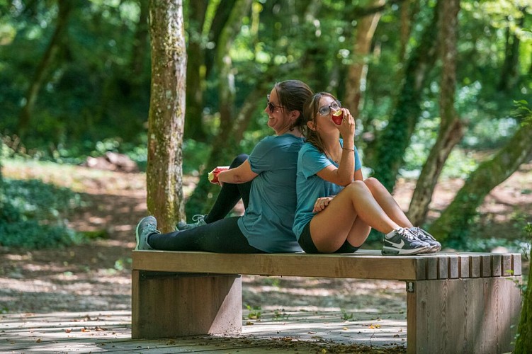 Forest Sport Nature & Health trail