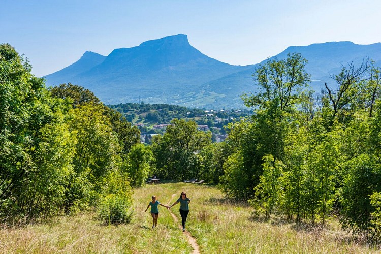 Forest Sport Nature & Health trail
